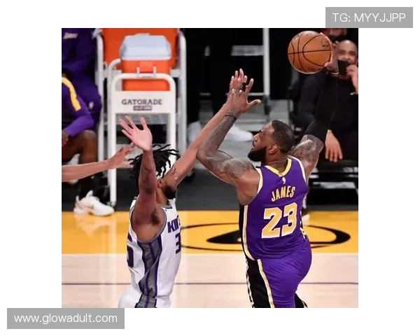 湖人大捷国王两优六稳两低迷解析